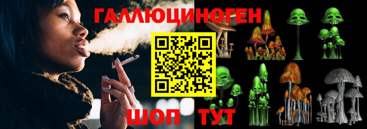 Псилоцибиновые грибы GOLDEN TEACHER  Вход с VPN  Кириши  Галлюциногенные грибы Psilocybine cubensis 